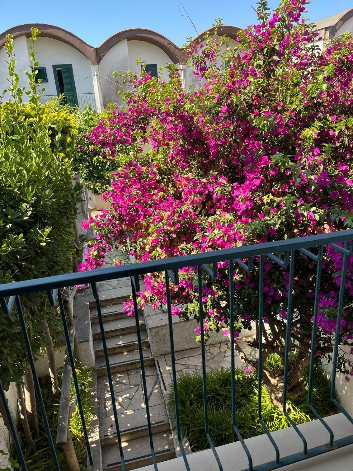 Casa Vacanze Bouganville Sperlonga Εξωτερικό φωτογραφία