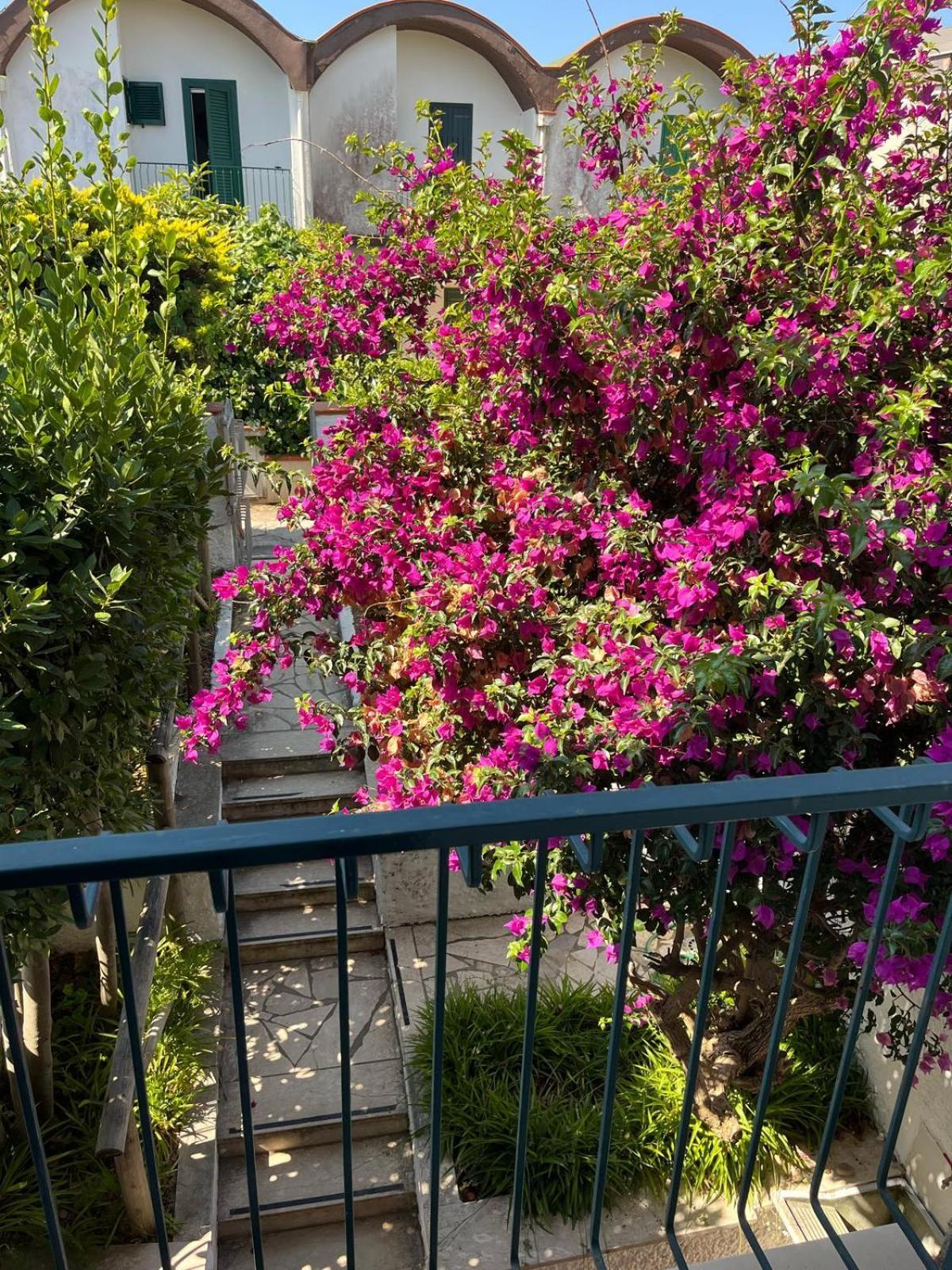 Casa Vacanze Bouganville Sperlonga Εξωτερικό φωτογραφία